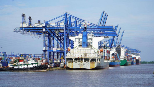 TP HCM muốn xây cảng biển 6 tỷ USD ở Cần Giờ