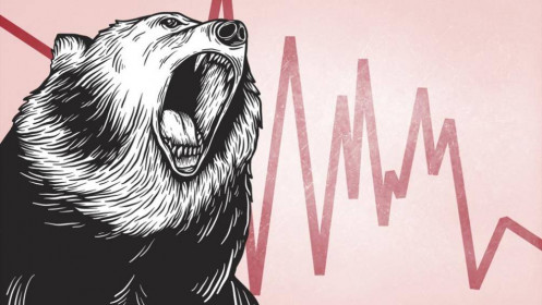 Chiến lược đầu tư nào hợp lý khi thị trường "con Gấu"?