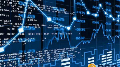 Thua là do tự tay bịt mắt mình!
