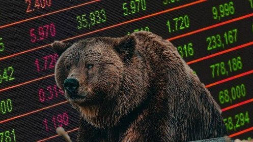 Chiến lược với 3 kế sách trong thị trường "gấu"
