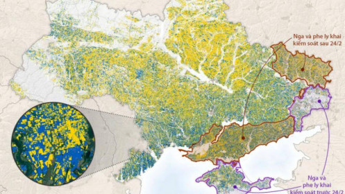 Nga kiểm soát hơn 20% đất canh tác của Ukraine