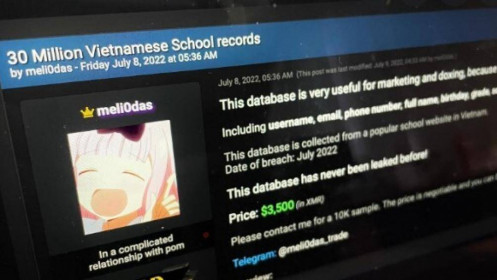 Hacker rao bán 'dữ liệu trường học của 30 triệu người Việt'