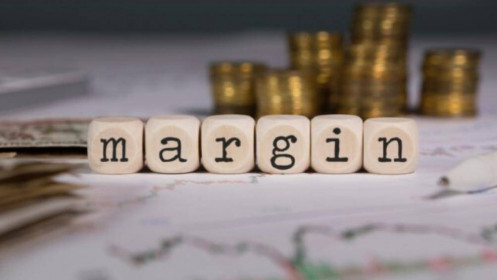 Dư nợ margin tại các CTCK giảm trên 20%