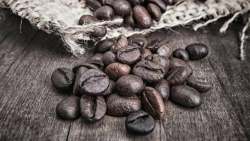 Giá cà phê bất ngờ giảm đến 1.000 đồng/kg, "chu kỳ buồn" bao giờ kết thúc?