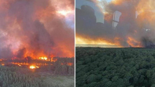Pháp sơ tán 1.500 người vì cháy rừng, Anh dự báo nắng nóng nguy hiểm