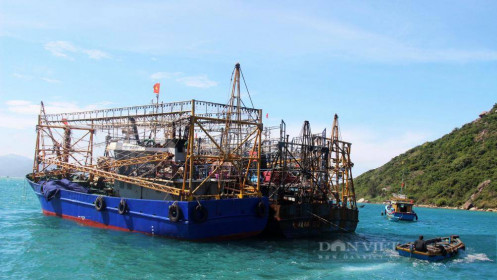Thống đốc Nguyễn Thị Hồng: Tỷ lệ nợ xấu cho vay đóng tàu 67,26%, Bình Định lên tới 98%