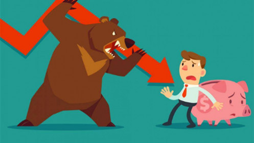 5 bí kíp quản trị rủi ro danh mục khi rơi vào 'thị trường gấu'
