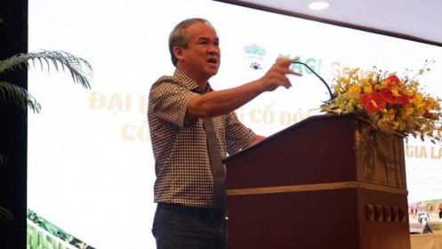 HAG vùng dậy?