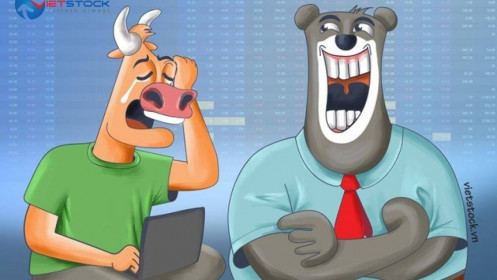 Giải trình cổ phiếu trần/sàn 5 phiên: “Gãi có đúng chỗ ngứa”?