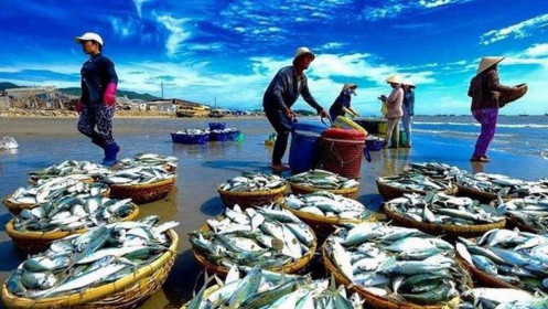 Tăng trưởng thủy sản có xu hướng giảm tốc vào quý 3
