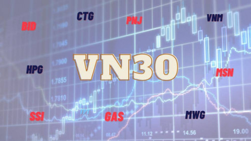Các cổ phiếu vừa lọt rổ VN30, VNFin Lead biến động ra sao thời gian qua?