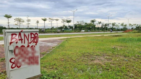 Hà Nội sắp đấu giá 11.000 m2 đất tại Mê Linh