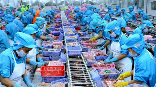 Trung Quốc nới quy định chống dịch với hàng thủy sản Việt Nam