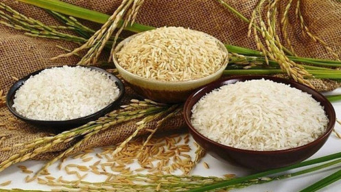 Giá gạo tiếp tục sụt giảm