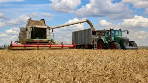 Thỏa thuận nối lại hoạt động xuất khẩu ngũ cốc Nga-Ukraine được ký kết