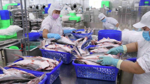 'Nữ hoàng cá tra' lỗ chứng khoán hơn 60 tỷ đồng