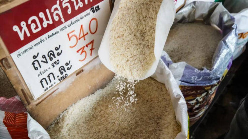 Nguy cơ cuộc chiến giá gạo ở châu Á