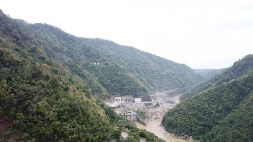 Phó Thủ tướng đồng ý chuyển đổi 2,46 ha rừng tự nhiên làm thủy điện Ialy mở rộng