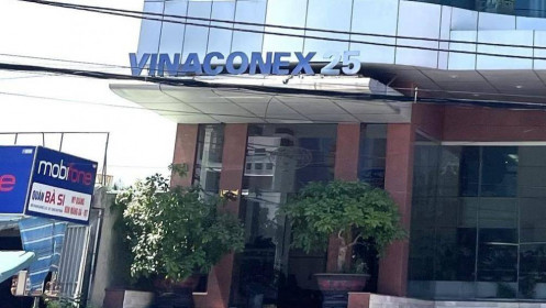 Vinaconex 25 bị phạt, truy thu thuế hàng tỷ đồng