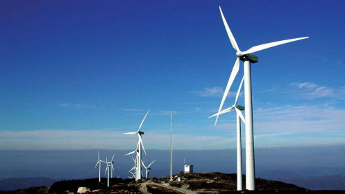 Liên danh Tập đoàn Orsted và T&T Group muốn đầu tư 2 dự án điện gió 381.000 tỷ đồng tại Ninh Thuận