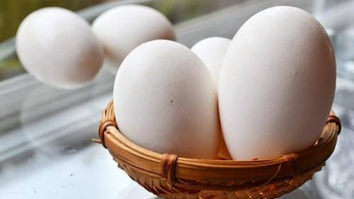 Trứng gà và chứng khoán khác gì nhau?