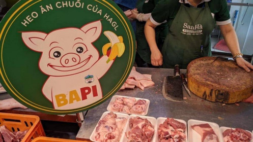 Bài toán kinh tế của HAG