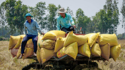Xuất khẩu gạo tăng kỷ lục
