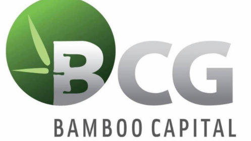 BCG: Bamboo Capital Cây tre đáng mua trong năm 2022