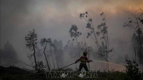 Châu Âu căng thẳng chống cháy rừng, 70 thành phố ở Bồ Đào Nha đối mặt rủi ro lớn