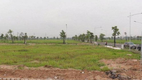 Đấu giá 20 lô đất Mê Linh, giá trúng cao nhất hơn 70 triệu đồng/m2