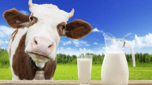 Một công ty ngành sữa bất ngờ "khóa" room ngoại