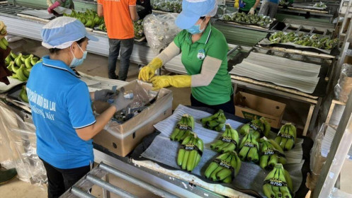 Bầu Đức còn gì để mất với  HAGL?