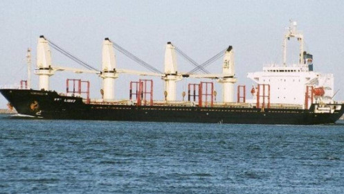 Một DN vận tải biển bị kiểm toán nghi ngờ khả năng hoạt động liên tục