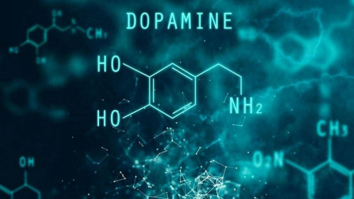 Hiệu ứng Dopamine