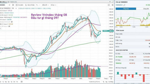 Tháng 8 và Vnindex, đầu tư gì cho tháng 9?