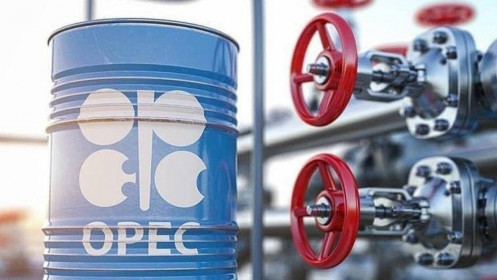 Opec + đồng ý cắt giảm nguồn cung dầu thô để nâng giá dầu