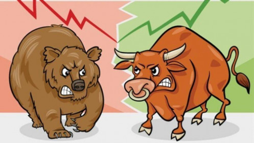 Nhịp đập Thị trường 08/09: VN-Index chực rơi về vạch xuất phát, nhưng cổ phiếu đang xấu hơn thế
