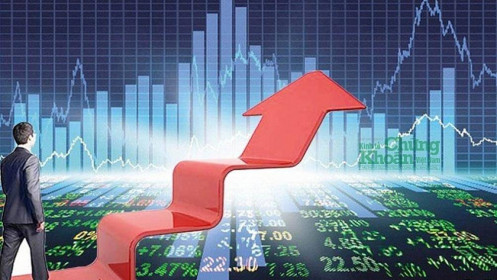 MSVN gọi tên 5 cổ phiếu tiềm năng đáng đầu tư trong tháng 9