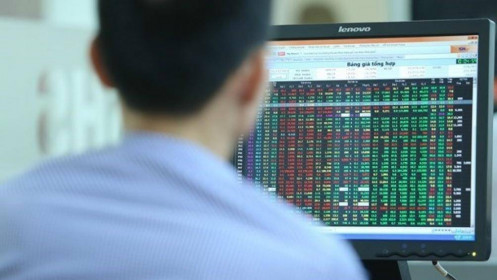 BSC: VN-Index hướng đến vùng 1,310-1,330 điểm trong tháng 9