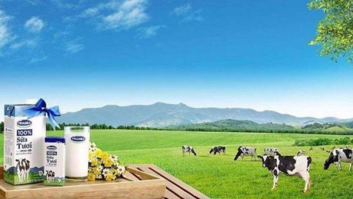 VNM muốn xây siêu nhà máy sữa 4.600 tỷ đồng tại Hưng Yên