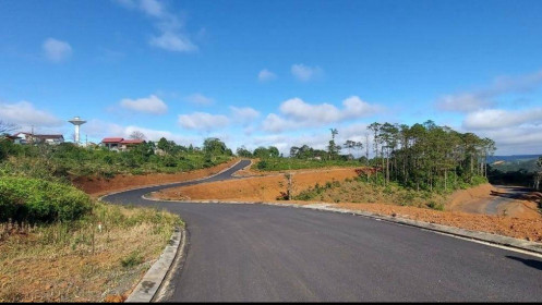 Kon Tum: 11 dự án nông nghiệp trái thẩm quyền được Huyện Kon Plông phê duyệt