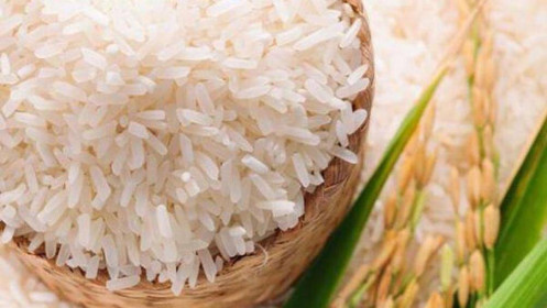 Cơ hội nào cho cổ phiếu ngành gạo?