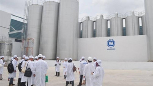 [VIDEO] Vinamilk khởi công nhà máy sữa 4.600 tỷ đồng, MSB tăng vốn điều lệ 20.000 tỷ đồng