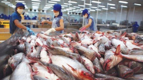 Cá tra Việt Nam vẫn tăng trưởng xuất khẩu sang Anh dù lạm phát cao kỷ lục