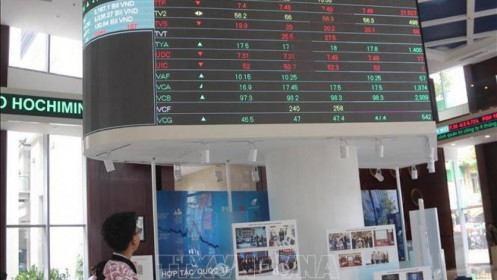 Nhận xét về nhà đầu tư Việt