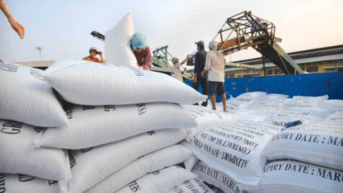 Dự báo Philippines sẽ nhập khẩu gạo đạt mức kỷ lục, gạo Việt tiếp tục có lợi thế?