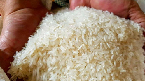 Gạo Việt hưởng lợi sau lệnh hạn chế xuất khẩu gạo của Ấn Độ