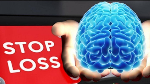 Trường hợp nào thì nhà đầu tư nên nâng mức dừng lỗ?