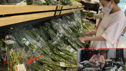 Quản lý thị trường vào cuộc xử lý vụ 'rau VietGAP dỏm bán trong siêu thị'