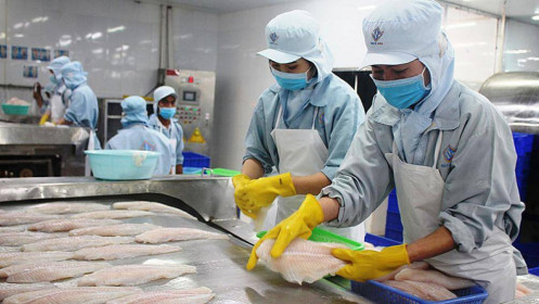 Giá cá tra đông lạnh Việt Nam nhập khẩu vào Mỹ tăng 56%